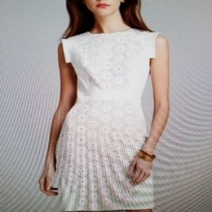 Adrianna Papell white eyelet lace sheath cotton dr